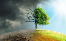 Climate change (Bild: /jozsitoeroe, stock.adobe.com)