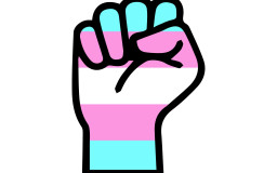 What actually is trans*phobia? An introduction to a controversial topic  (Graphic: Kuba Czyż)