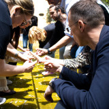 RegenerAction_01_2026