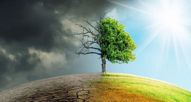 Climate change (Bild: /​jozsitoeroe, stock.adobe.com)