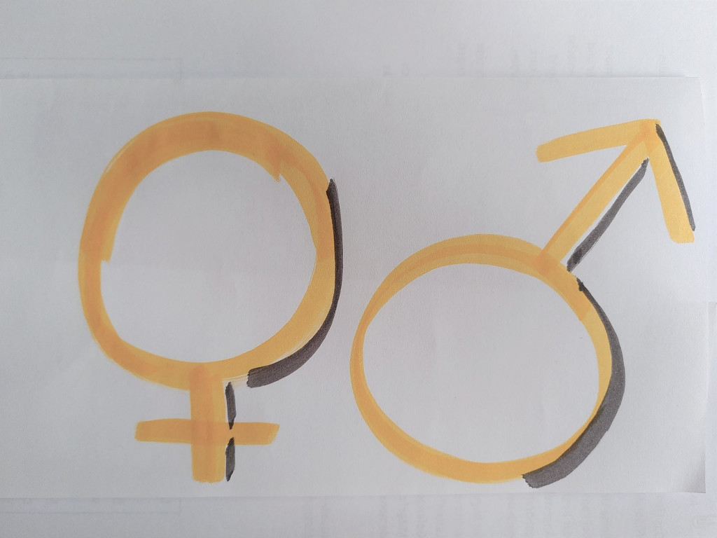 Soldiers and housewives? – Right-wing extremism and gender