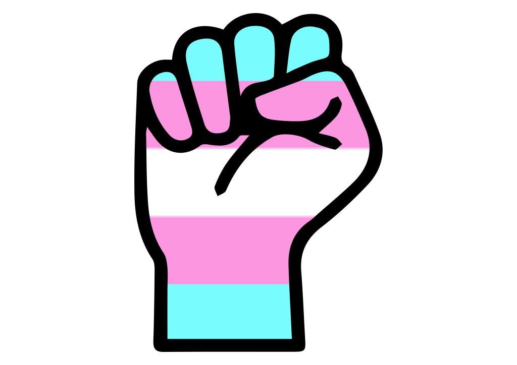What actually is trans*phobia? An introduction to a controversial topic (Graphic: Kuba Czyż)